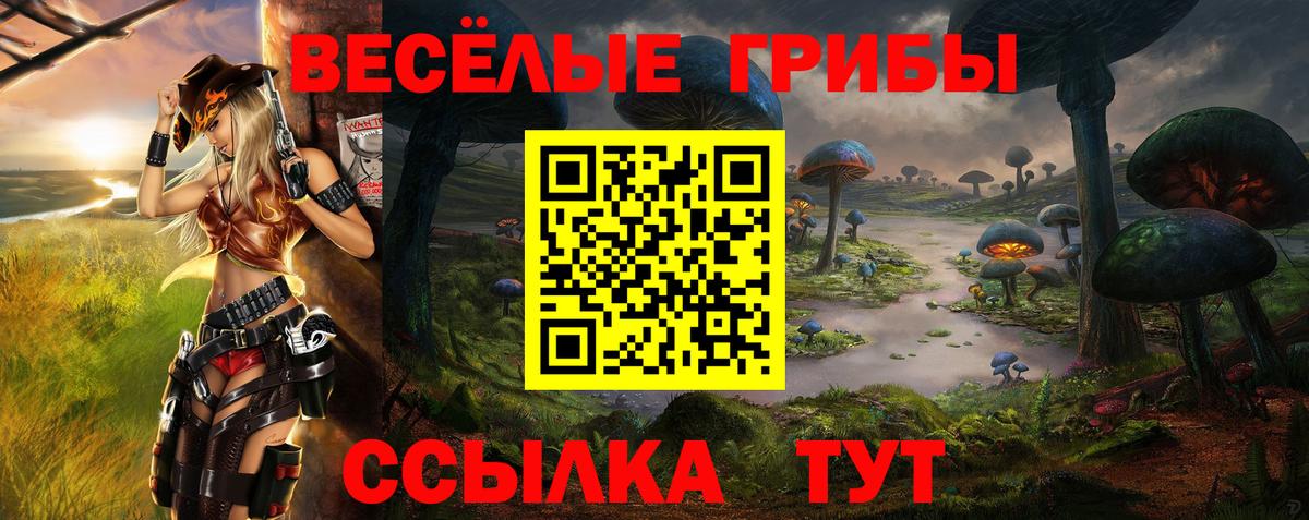 Галлюциногенные грибы Cubensis  Вход с VPN  Новокубанск 